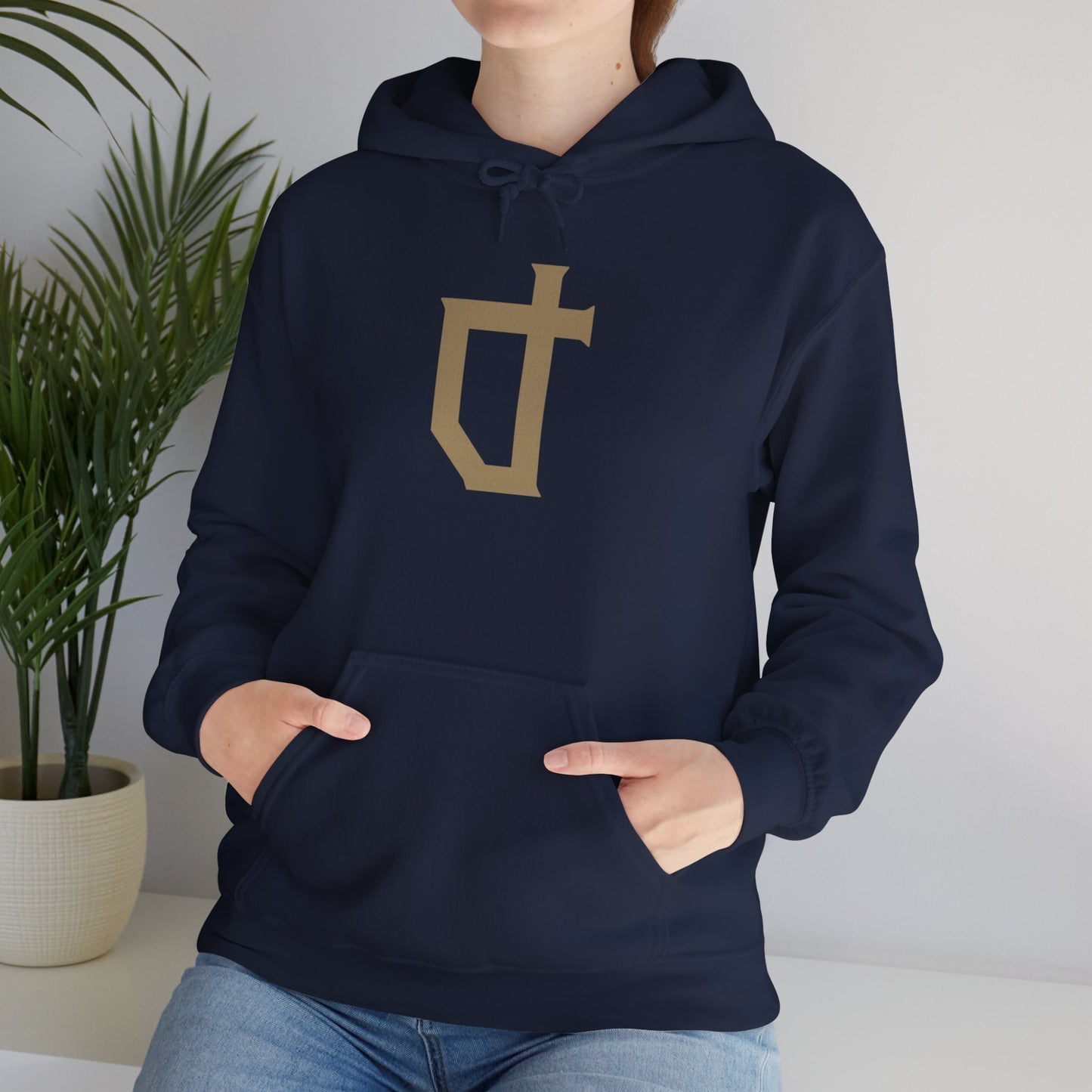 Alberta Reformer Icon Unisex Hoodie