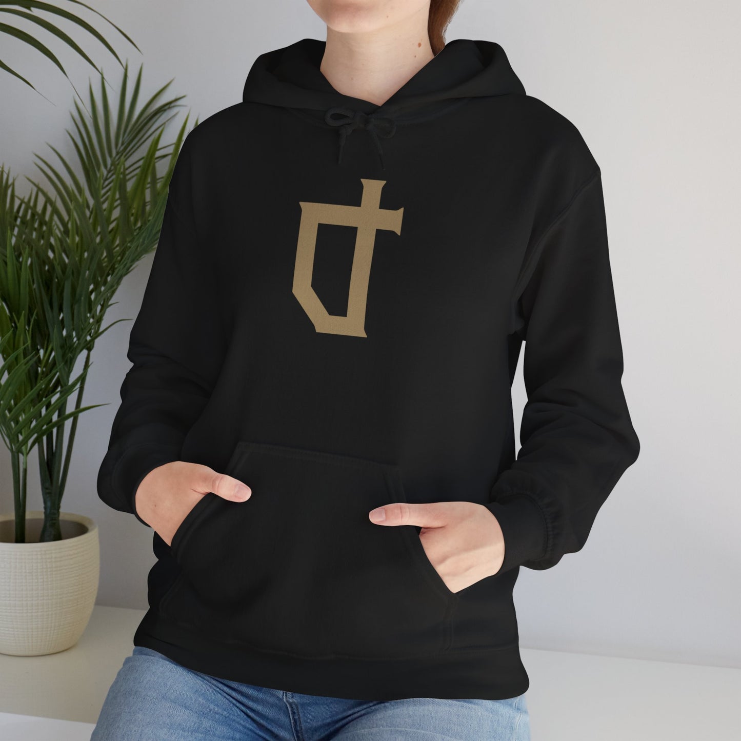 Alberta Reformer Icon Unisex Hoodie