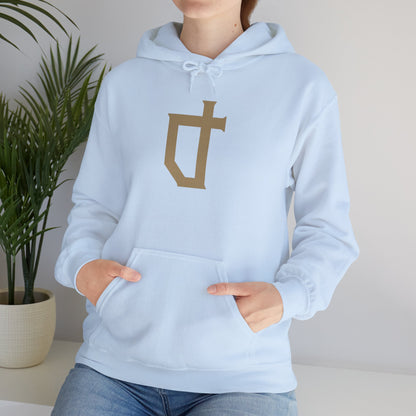 Alberta Reformer Icon Unisex Hoodie